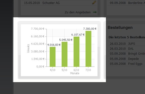 Software Unternehmen