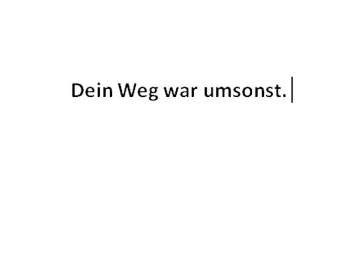 Buch dein weg war umsonst