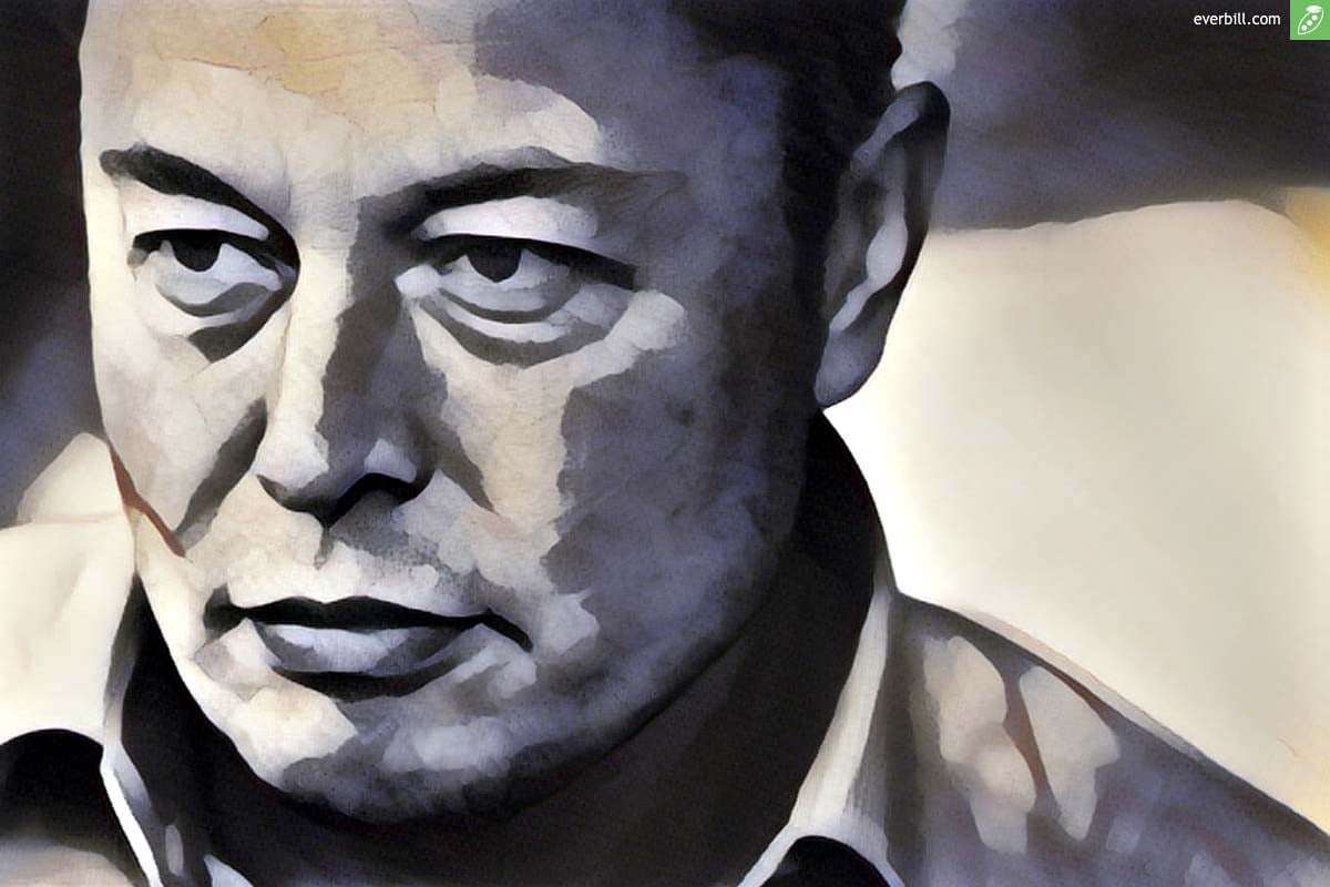 Elon Musk Zitate Business Lektionen Vom Tesla Gründer Everbill