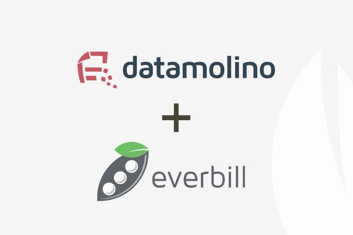 everbill und datamolino